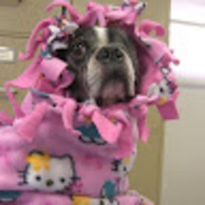 Meet your Posher, Selia